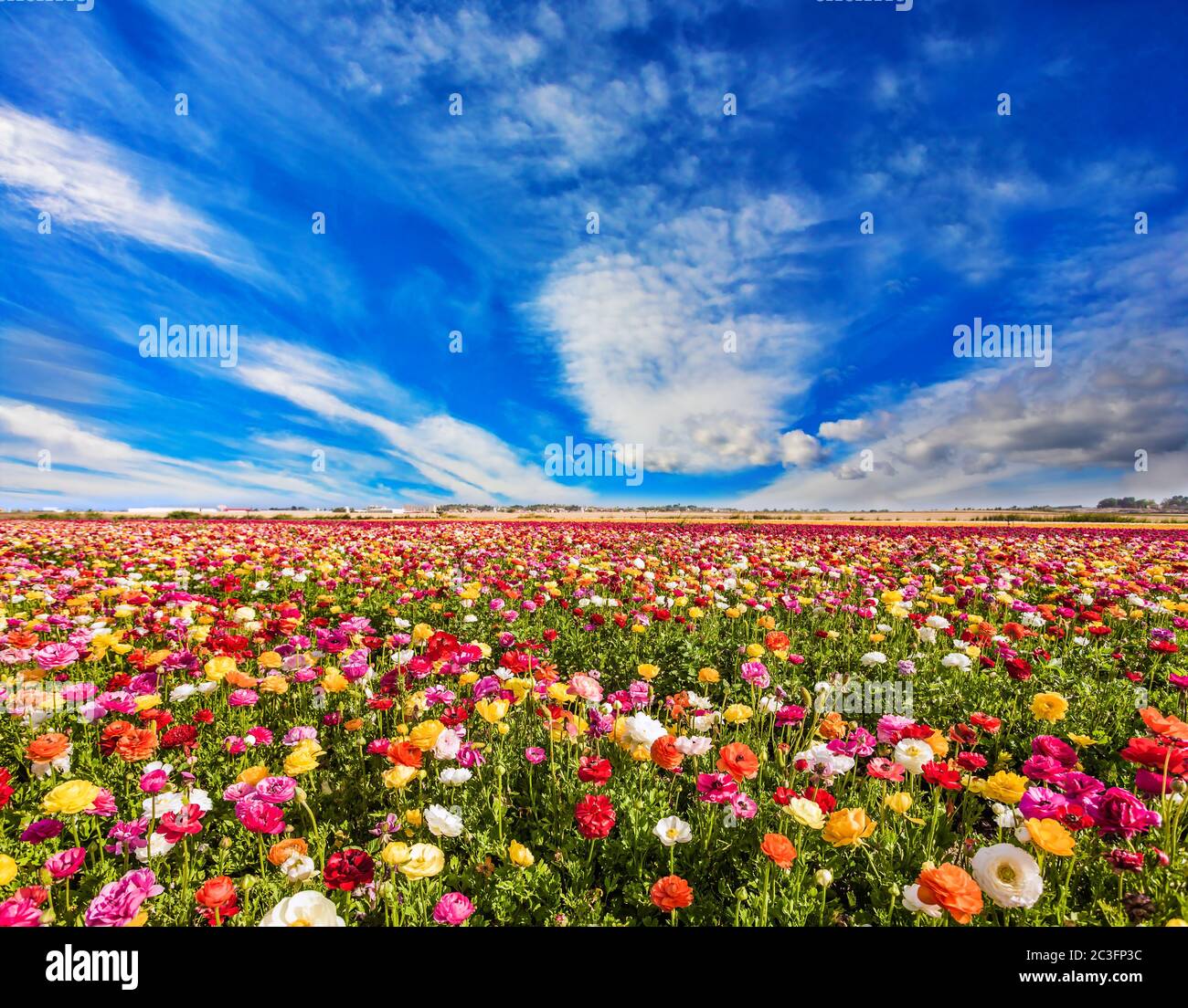 Cirrus dünne Wolken Stockfoto