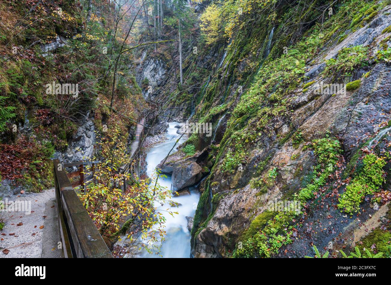 Berg alpinen Herbst Wimbachklamm Schlucht und Wimbach mit Holzweg, Nationalpark Berchtesgaden, Alpen, Bayern, Germa Stockfoto