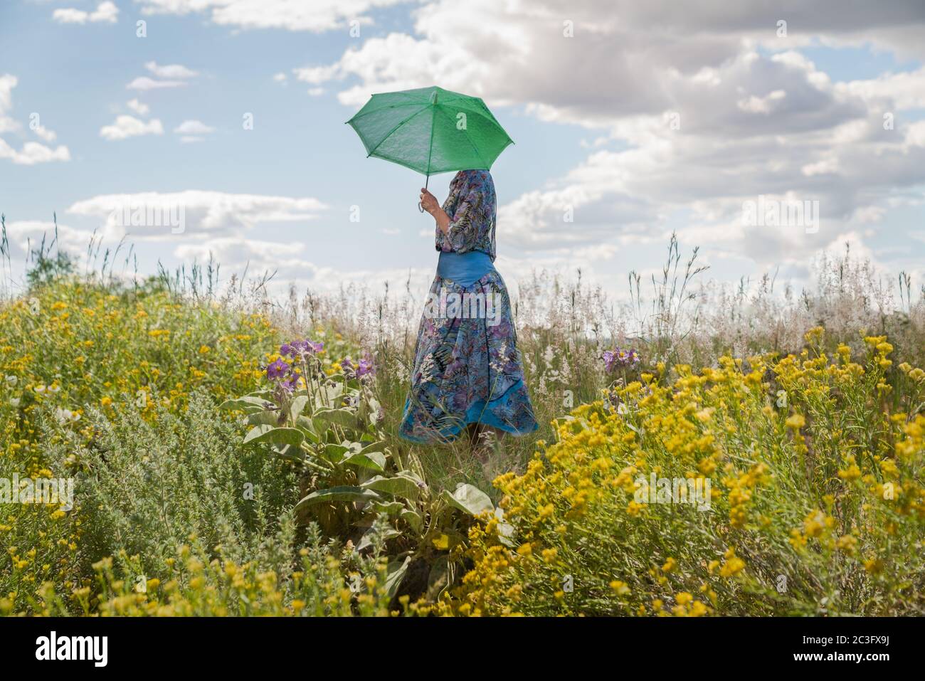 Frau hält Regenschirm im Feld der Wildblumen Stockfoto