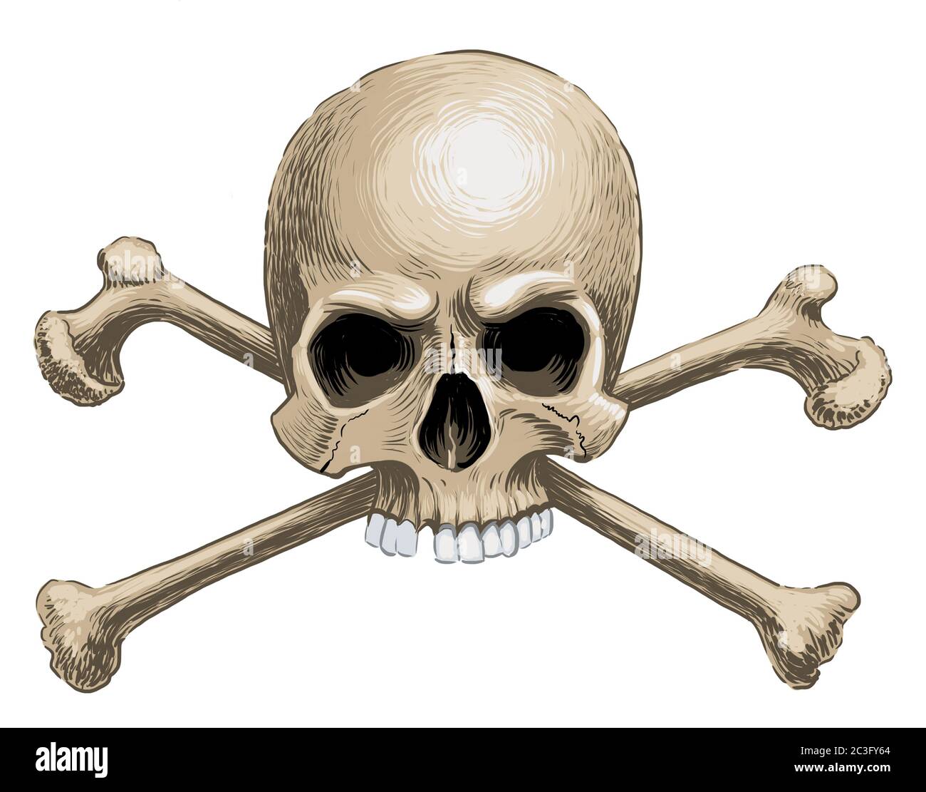 Menschlicher Schädel und gekreuzte Knochen auf weißem Hintergrund. Digitale Illustration Stockfoto