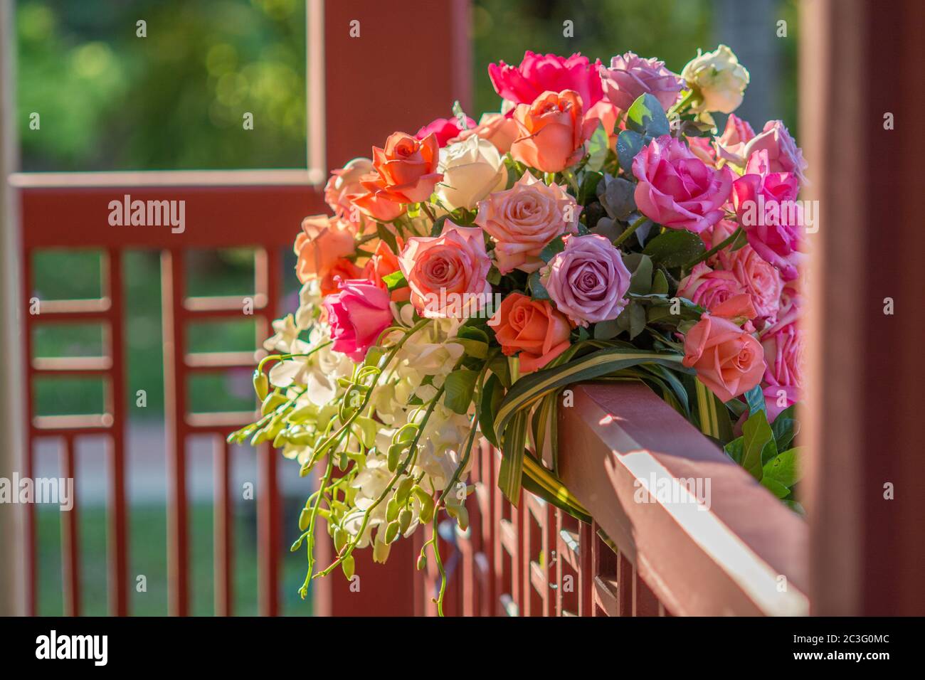 Rose und warmes Licht im Garten Hintergrund, schöne Momente der Liebe und glückliches Leben. Stockfoto