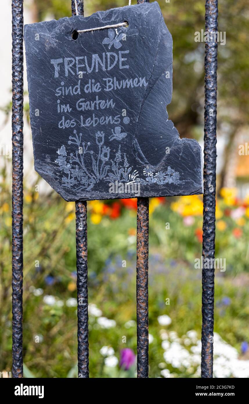 Freunde sind die Blumen im Garten des Lebens Stockfoto