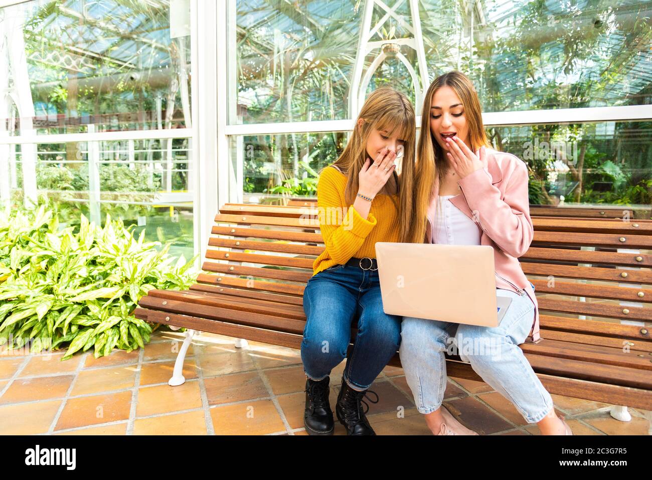 Zwei attraktive und ausdrucksstarke junge kaukasische Mädchen verwenden ein Handy und Laptop auf einer Holzbank sitzen Stockfoto