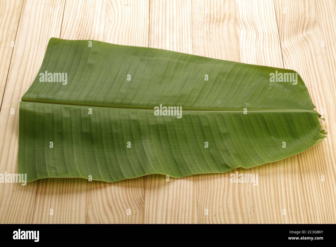 Bananenblatt , Kerala Sadya Blatt, eine traditionell verwendete Teller während des Festes und Festivals, isoliertes Bild von frischen grünen Bananenblatt auf weiß angeordnet Stockfoto