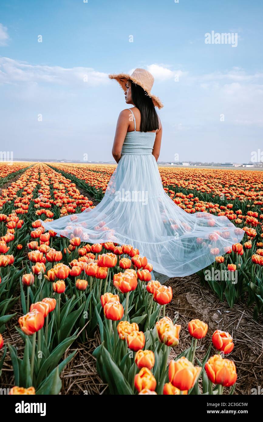 Tulpenblütenfeld in den Niederlanden, junge Frau mit Kleid in Tulpenblütenfeld, Mädchen mit Kleid und Hut in Blume abgelegt Stockfoto