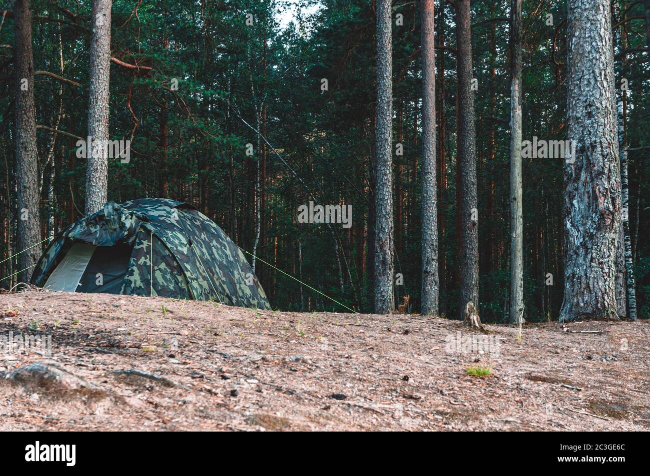 Camping Zelt auf einem Hügel tief im dunklen Wald Stockfoto