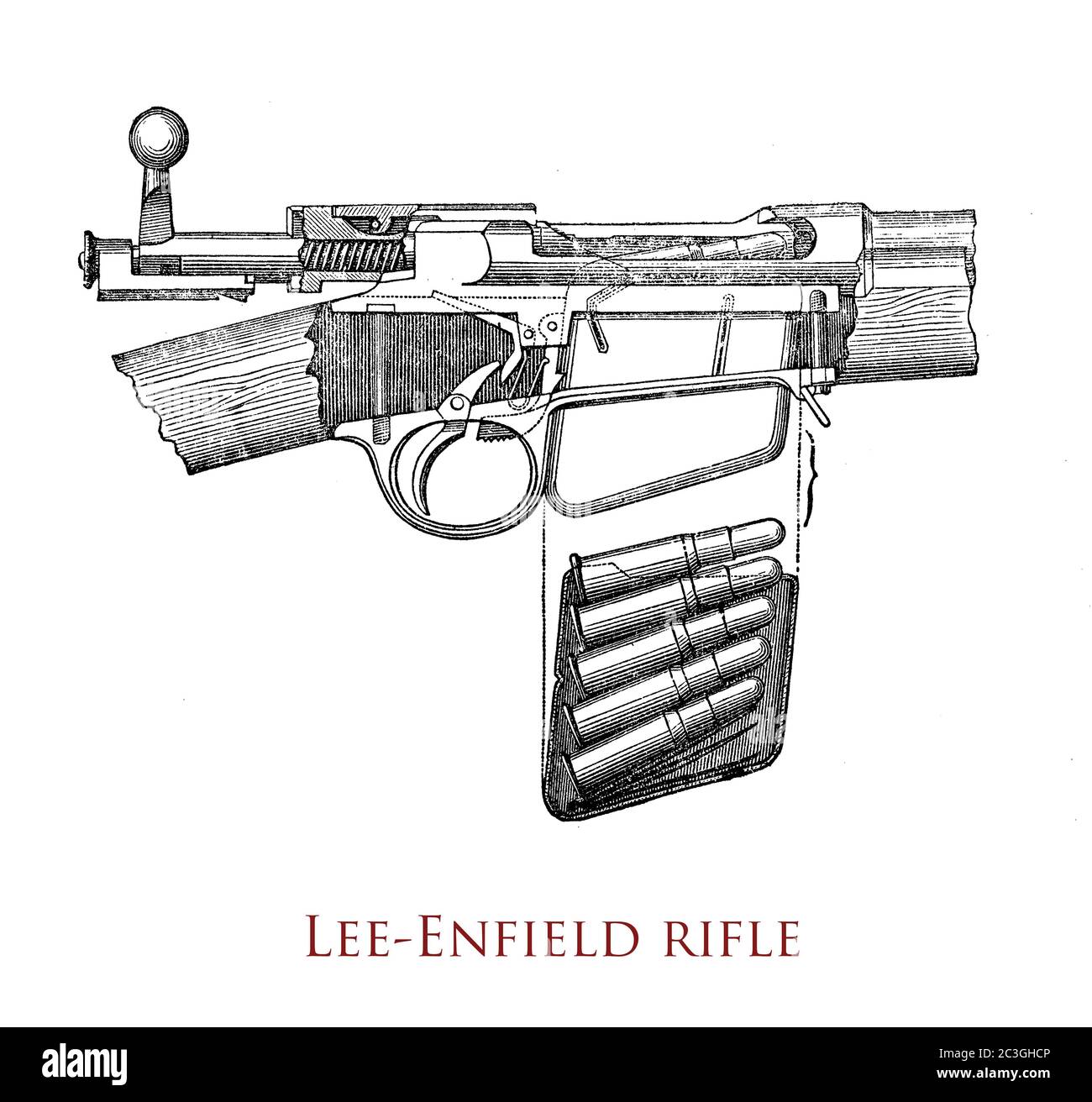 Lee-Enfield Repeating-Gewehr mit Bolt-Action-Magazin, das in der ersten Hälfte des 20. Jahrhunderts von den Militärkräften des britischen Empire und des Commonwealth verwendet wurde, ausgestattet mit abnehmbarem Stahlblech aus 10-runder Doppelsäule-Zeitschrift. Stockfoto