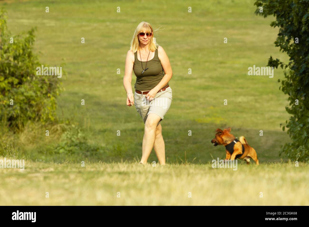 Frau beim Wandern mit ihrem kleinen Hund in der Sommerlandschaft Stockfoto