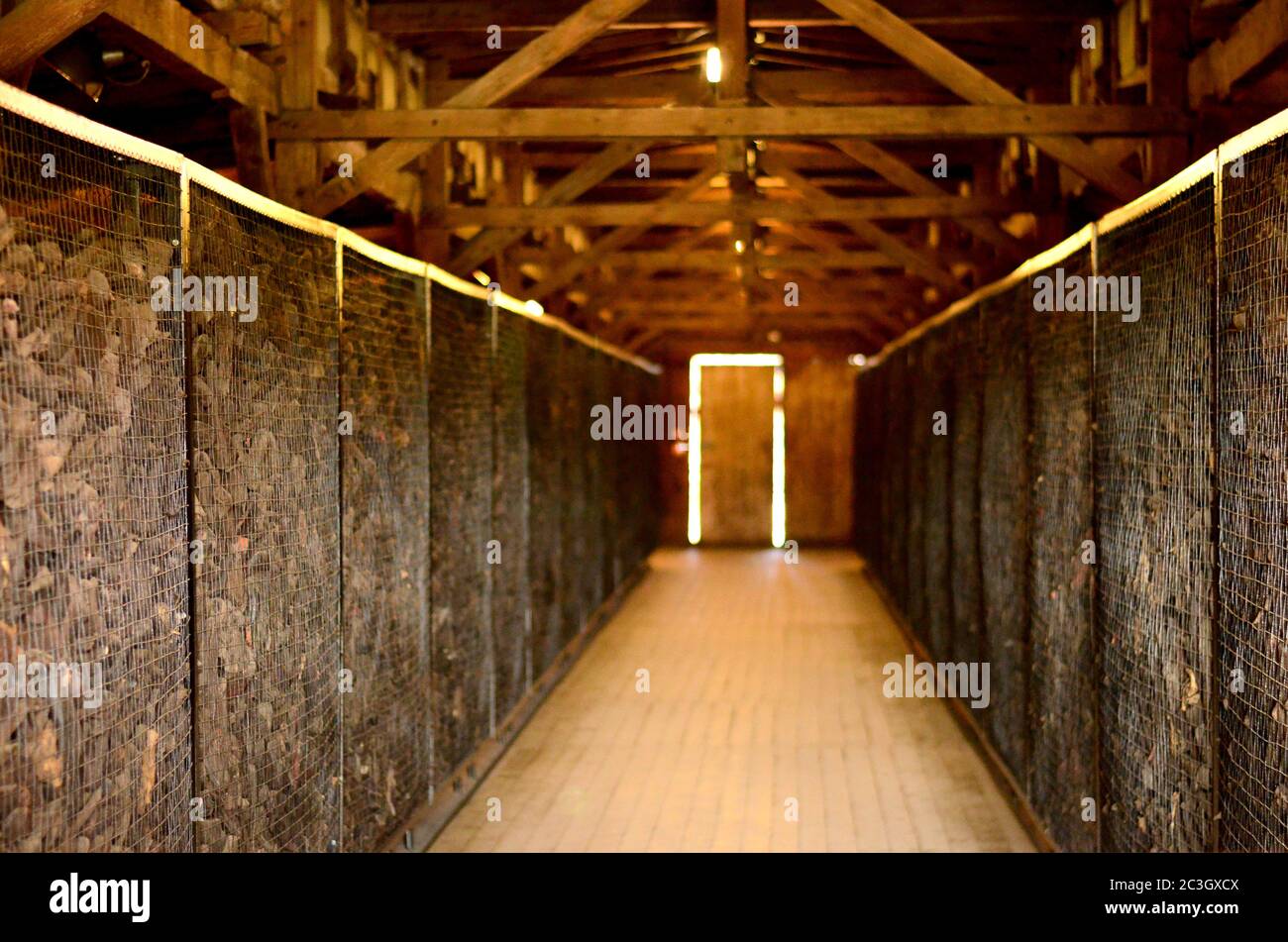 Große Käfige mit Opferschuhen im deutschen Konzentrations- und Vernichtungslager Majdanek. Lublin, Polen Stockfoto