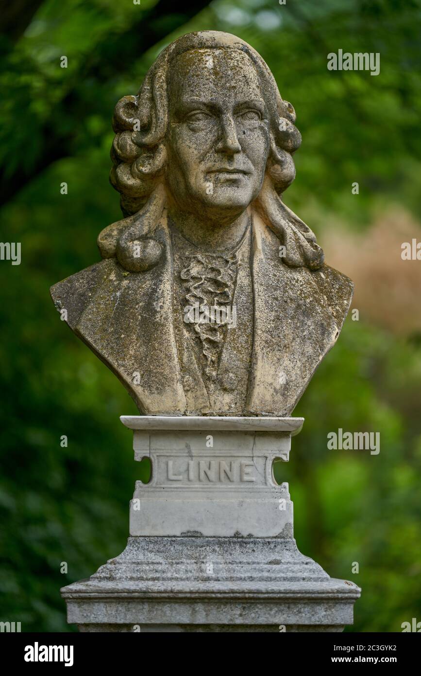 Karl von Linne Botanischer Garten im Juni Breslau Niederschlesien Polen Stockfoto