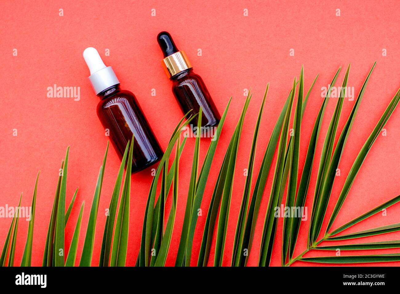 Naturkosmetik aus natürlichen Inhaltsstoffen. Modernes Konzept der Kosmetik auf rotem Hintergrund. Palmblatt, Serum, Pinsel mit Naturborsten. Stockfoto