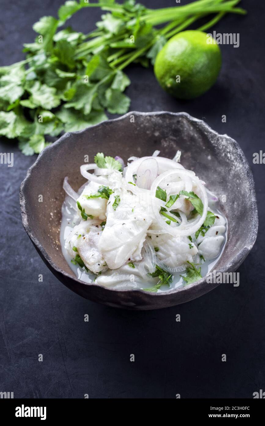 Traditionelle peruanische Gourmet-Ceviche sehen Sie Bass-Filetstück mit Zwiebelringen und Koriander in Limettensaft als Nahaufnahme in einer modernen de Stockfoto