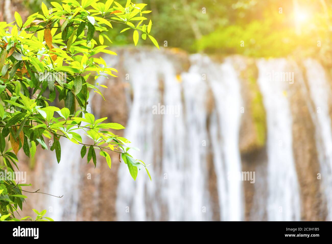 Wasserfallströme fließen aus der Kaskade hinunter Stockfoto