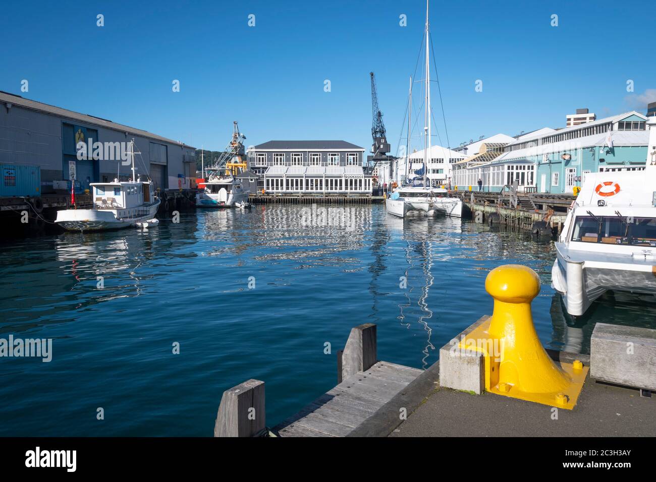 Boote im Hafen von Queens Wharf, Wellington Harbor, North Island, Neuseeland Stockfoto