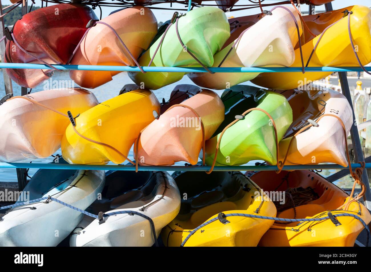 Kajaks auf dem Rack, Wellington, Nordinsel, Neuseeland Stockfoto