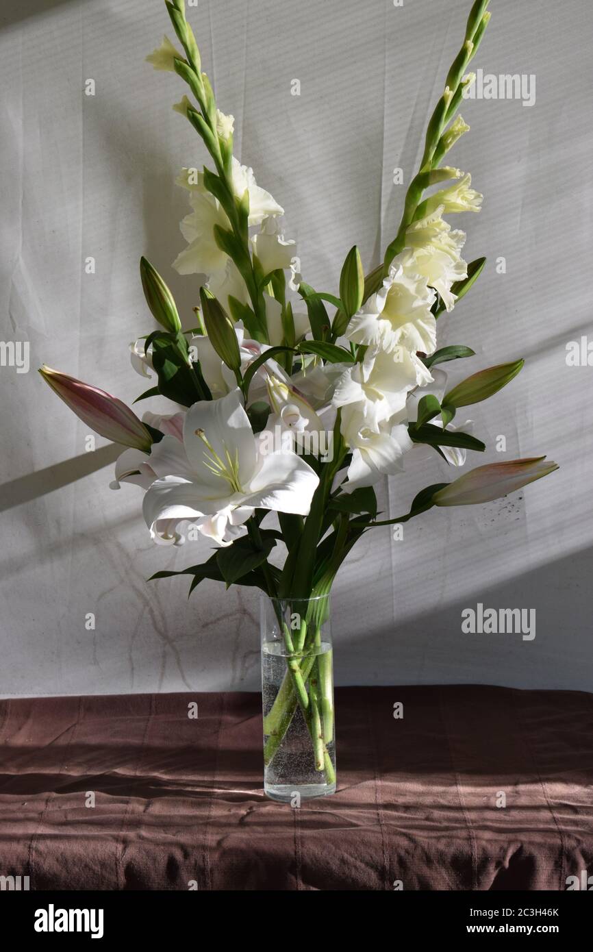 Bouquet de lys Zambési et glaïeuls Weißer Wohlstand Stockfoto