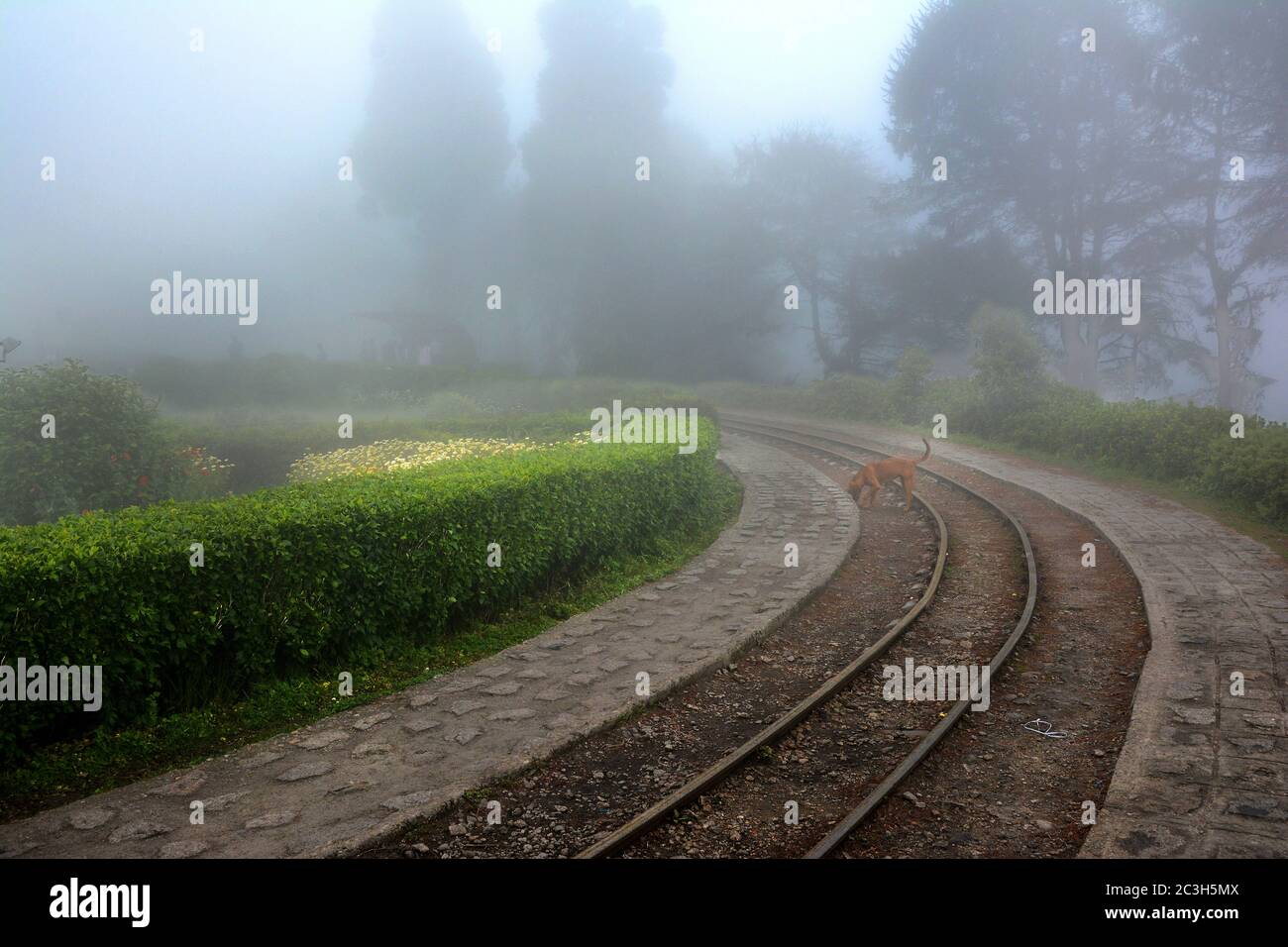 Die Batasia Loop ist eine Spiralbahn, die geschaffen wurde, um die Steigung der Darjeeling Himalayan Railway in Darjeeling Bezirk von West Bengal zu senken Stockfoto