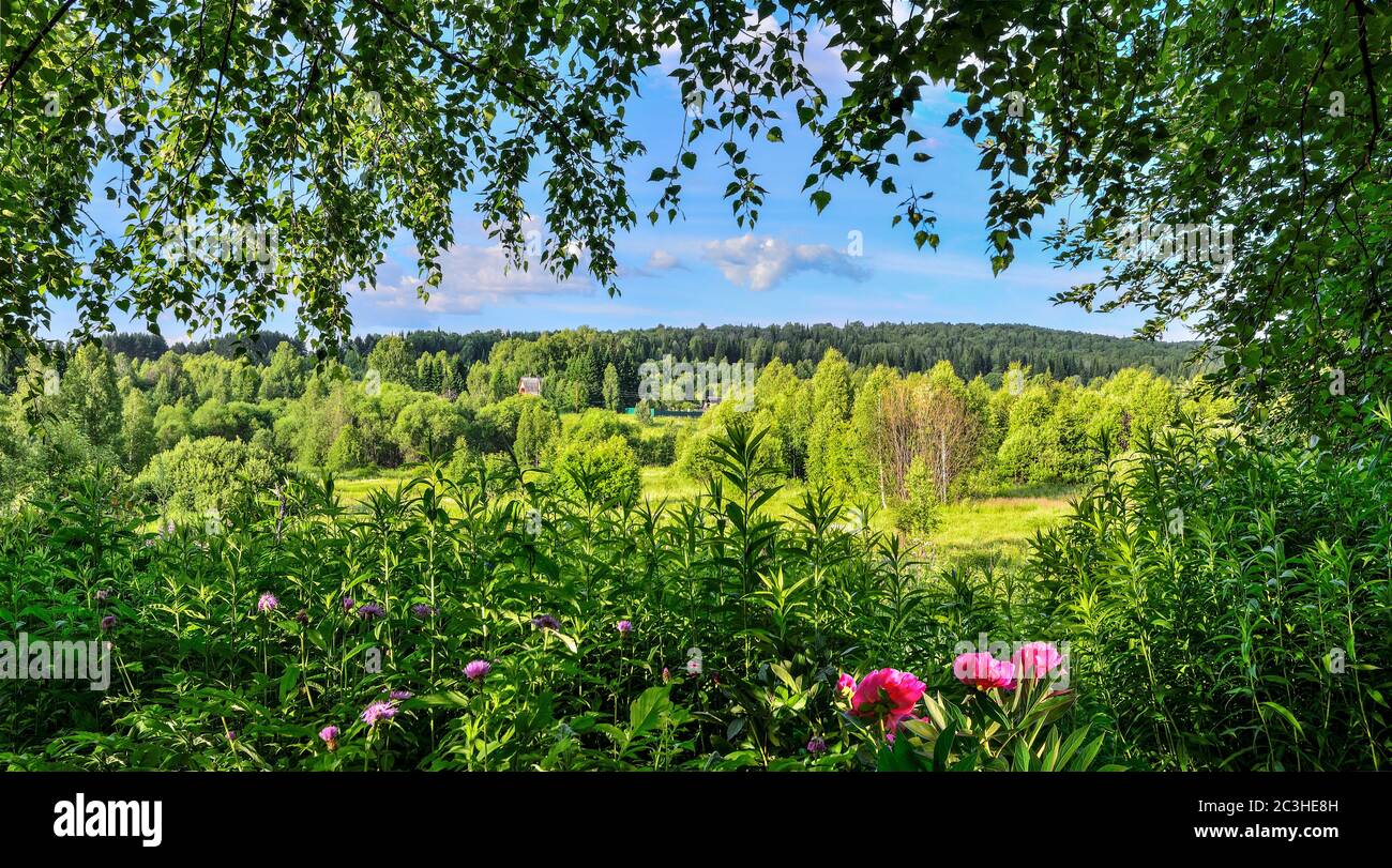 Blick durch die Bäume Laub und Blumen auf einer rustikalen sonnigen Sommerlandschaft mit dichten Wald auf Hügel im Hintergrund. Sonnenlicht und Schatten - Schönheit A Stockfoto