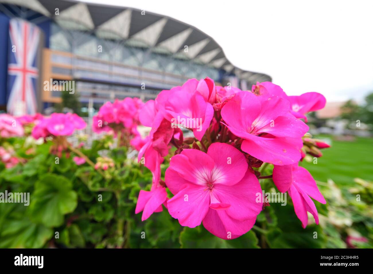 Ein allgemeiner Blick auf die Tribüne während des fünften Tages von Royal Ascot auf der Rennbahn Ascot. Stockfoto