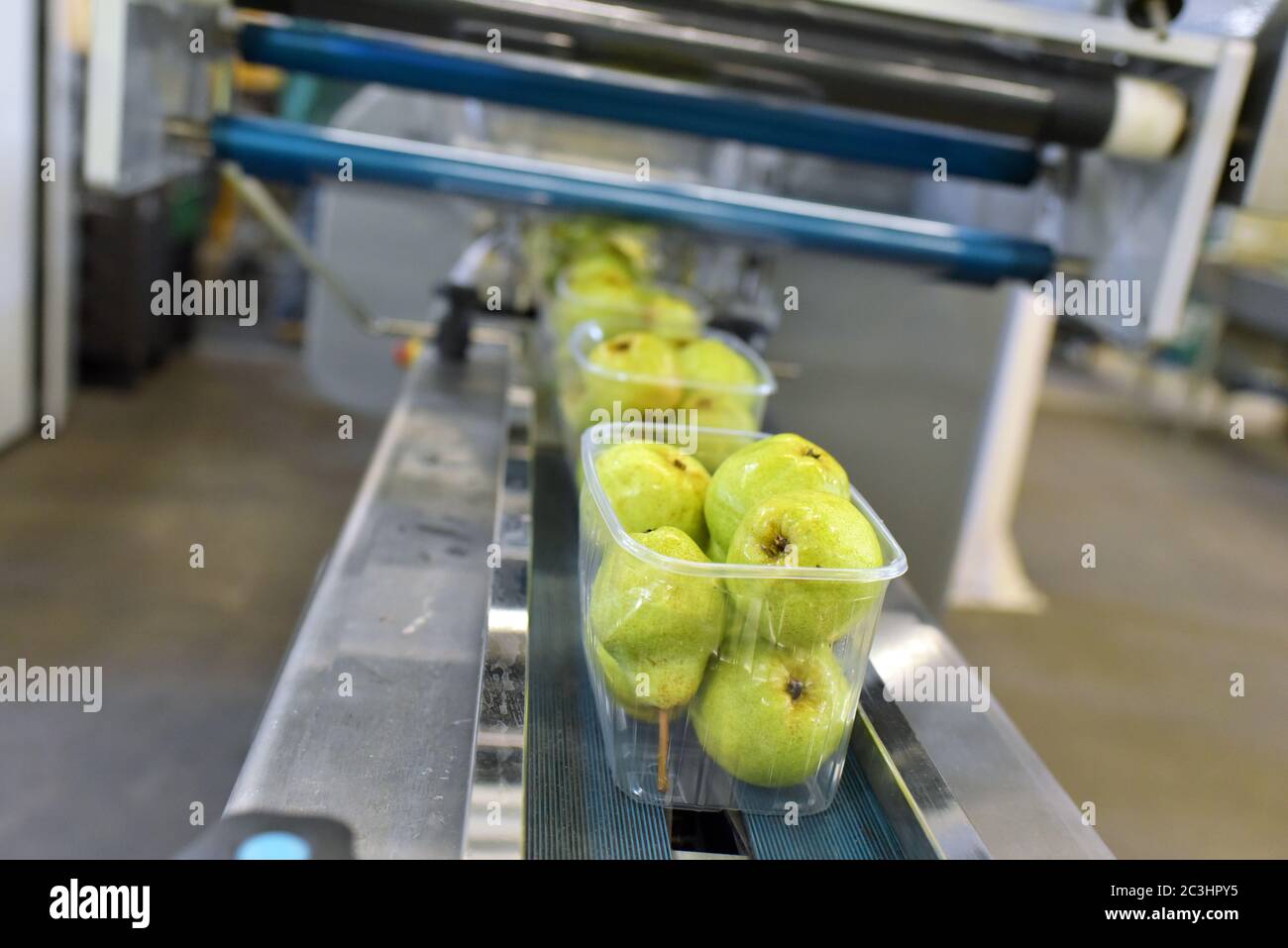 Moderne Verpackungsmaschine für frische Birnen in einer Fabrik für die Lebensmittelindustrie Stockfoto