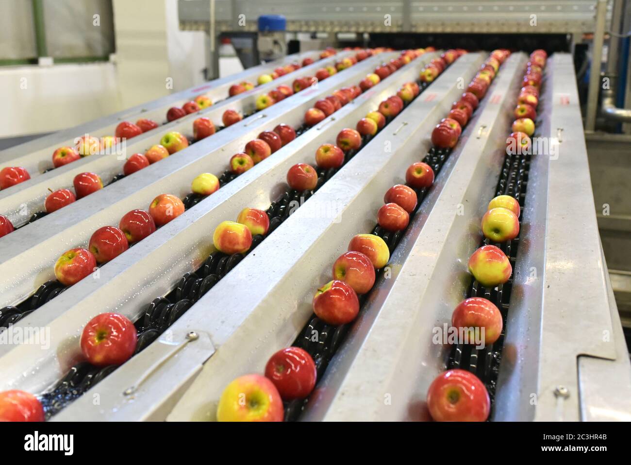 Lebensmittelfabrik: Fließband mit Äpfeln und Arbeitern Stockfoto
