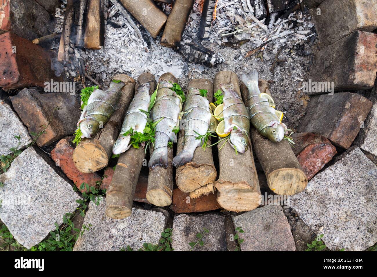 Forellen gefüllt mit Kräutern, Gewürz und Zitrone auf Stöcken auf dem Rand des Feuers, im Freien Camping Überleben verdrahtet Stockfoto