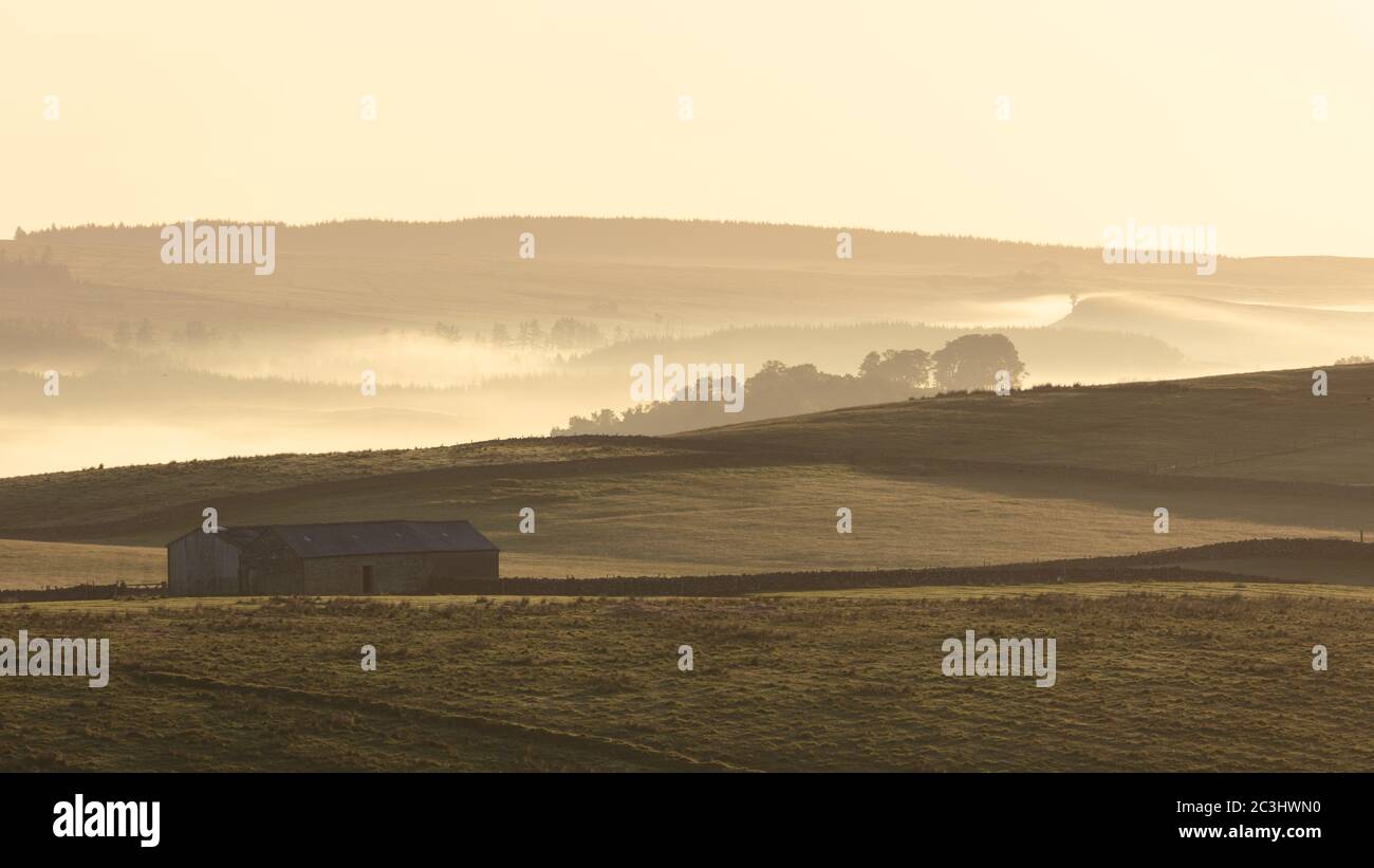 Ein nebliger Morgen in Northumberland, Großbritannien Stockfoto