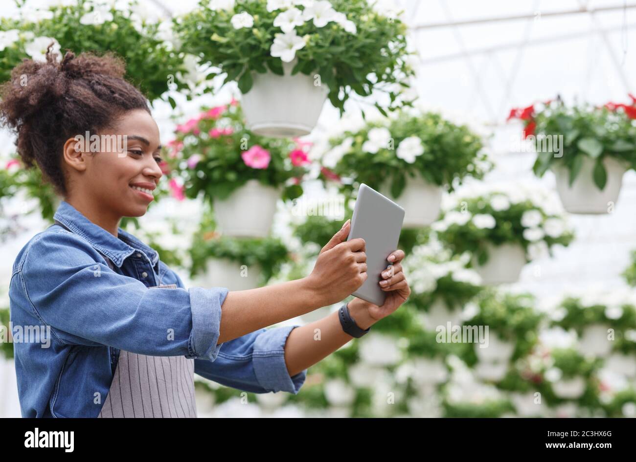 Arbeiten mit digitaler Technologie in Gewächshäusern mit Blumen. afroamerikanisch und Bauernhof Arbeiter Mädchen mit Tablet Stockfoto