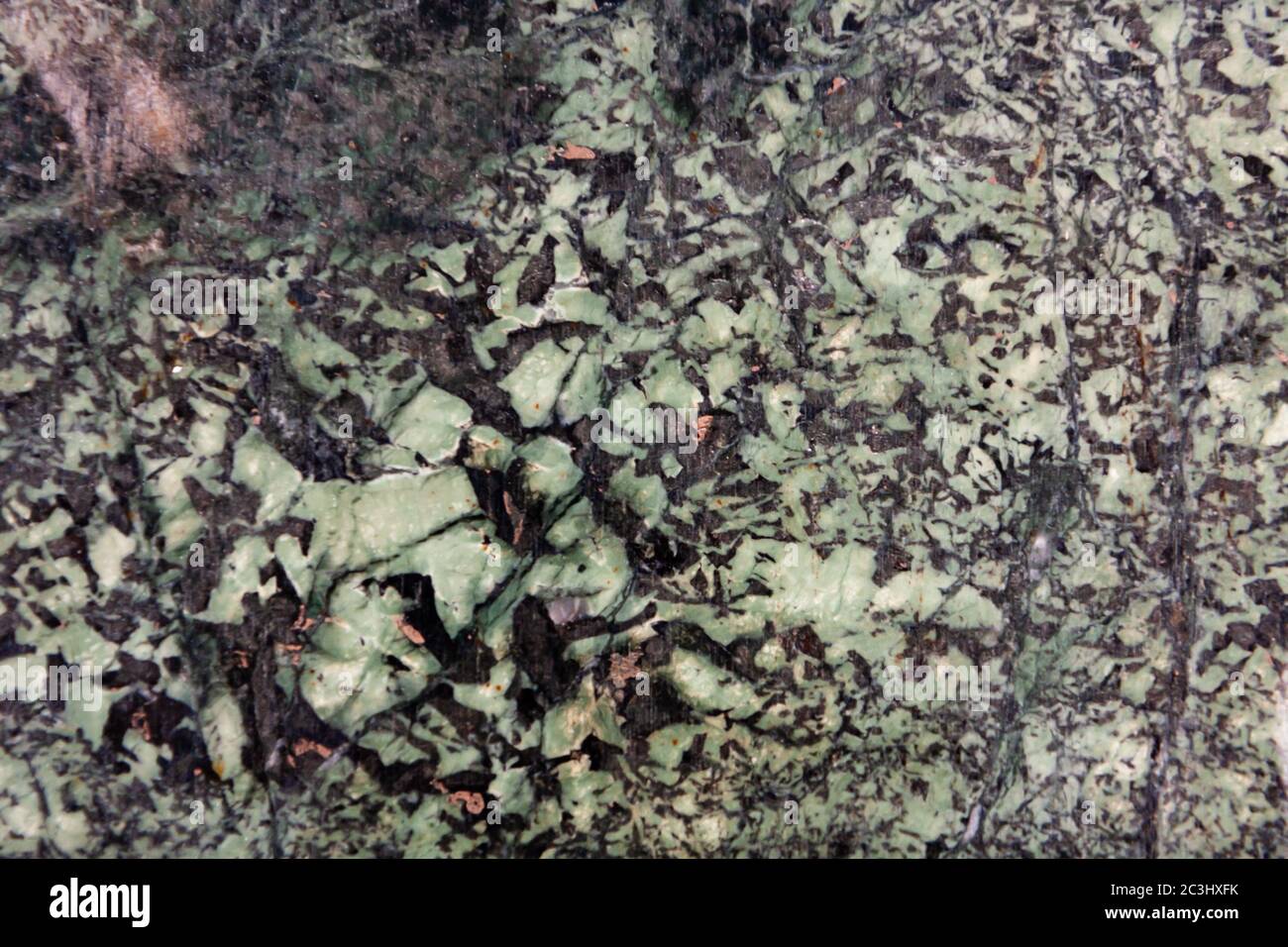 Textur aus grünem Syenit Stein oder ägyptischem Granit Nahaufnahme. Hintergrund Stockfoto