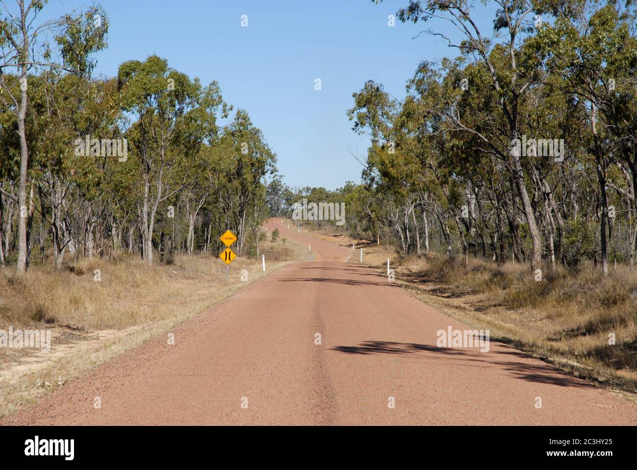 Versiegelte Straße durch Eukalyptusbäume im Outback mit Straßenverengen und Warnschildern für Flutwege, in der Nähe von Charters Towers, Queensland, Australien Stockfoto