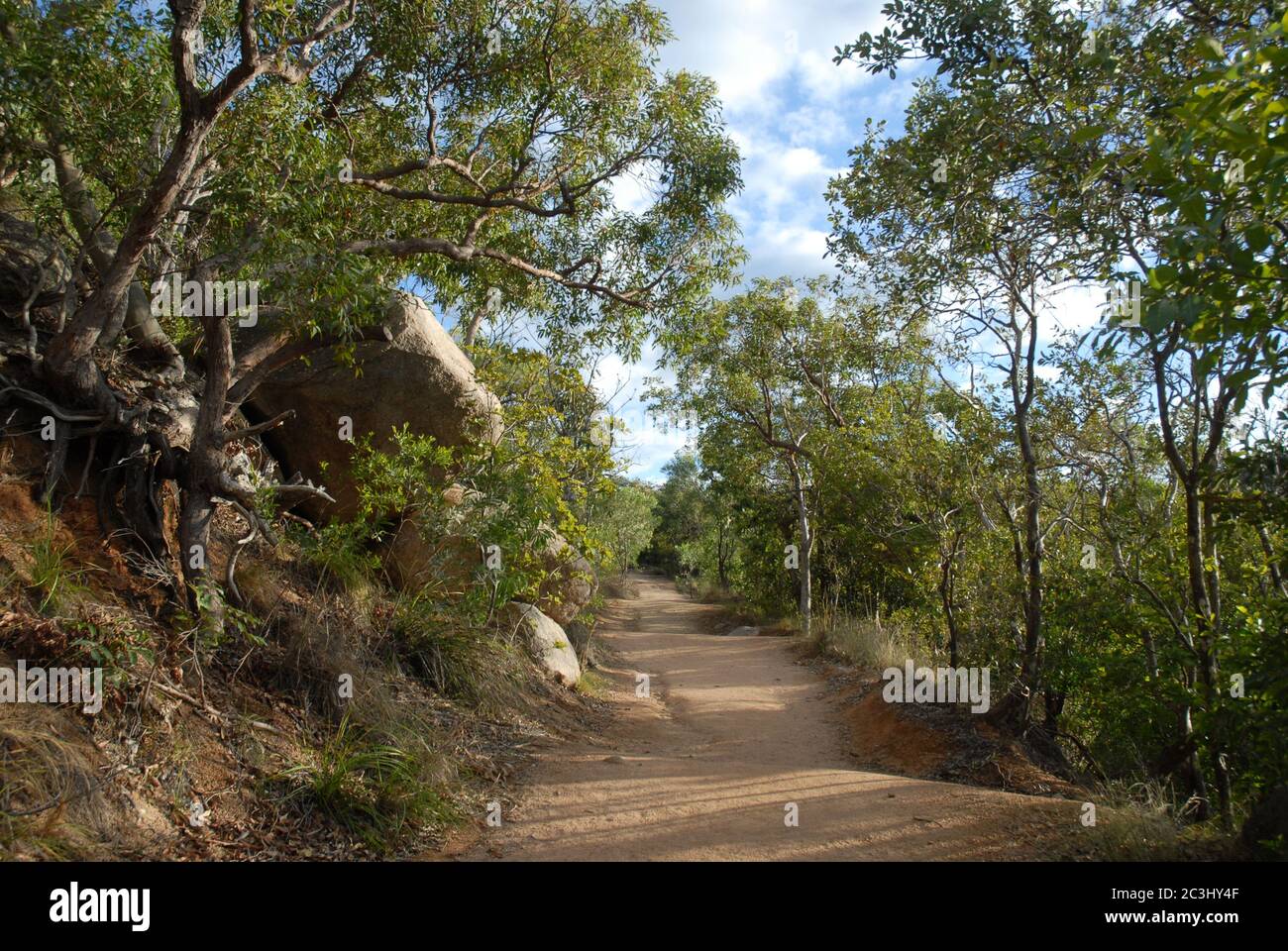 Beliebter Wanderweg durch offene Eukalyptuswälder, die zu historischen Befestigungsanlagen des Zweiten Weltkriegs führen, in der Nähe von Horseshoe Bay, Magnetic Island, QLD, Australien Stockfoto