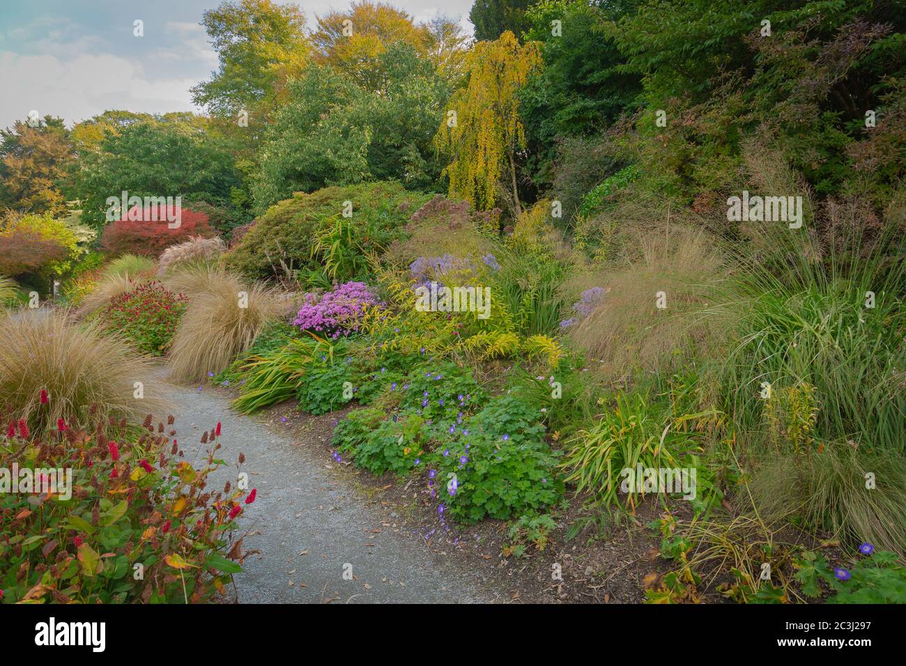 Ein Herbstspaziergang mit den Äßeln, Blumen und Gräsern im Gartenhaus, yelverton Stockfoto