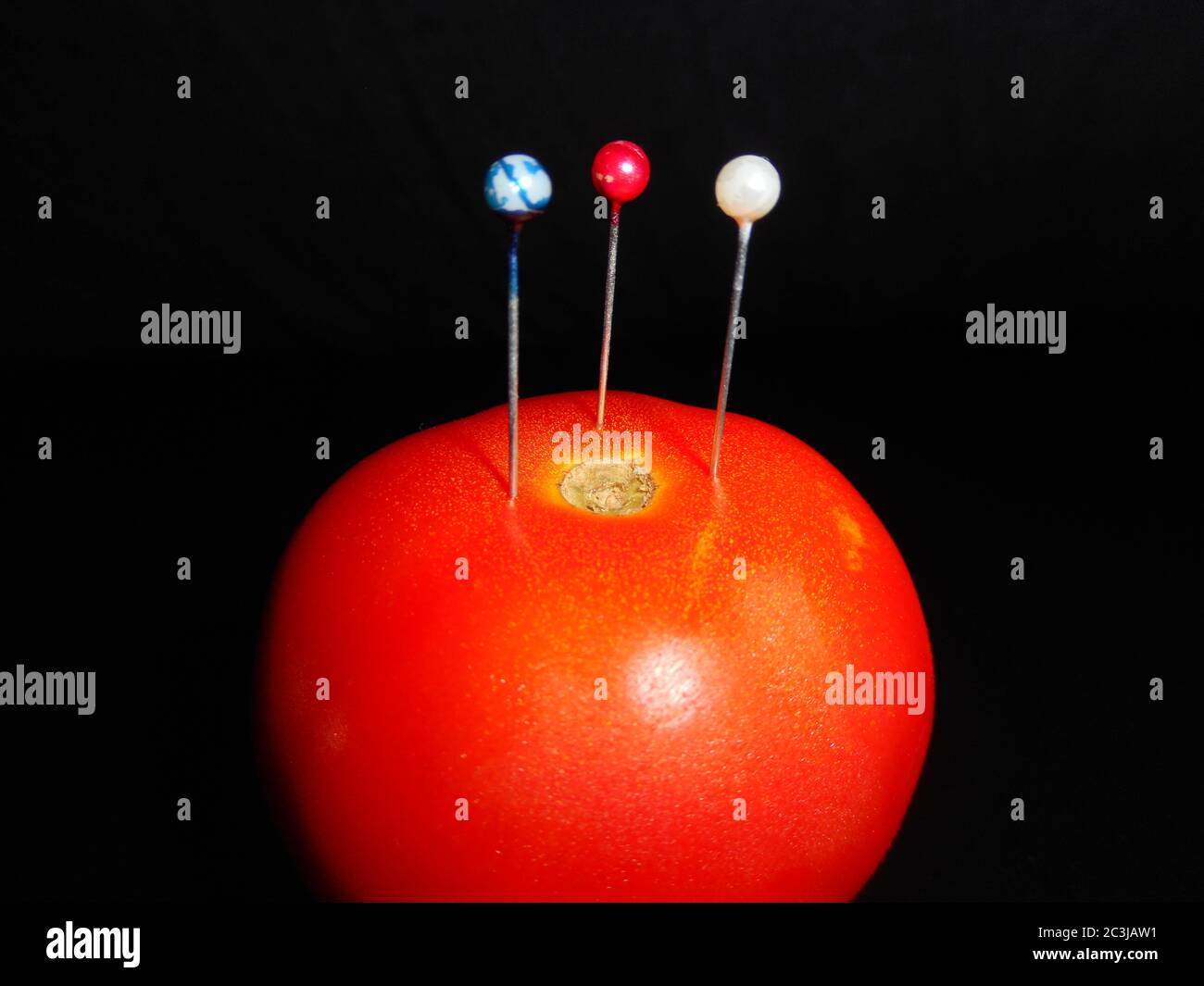 perlkopf gemischt farbige Stifte sind zu Tomaten durchdrungen, auf schwarzem Hintergrund. Stockfoto