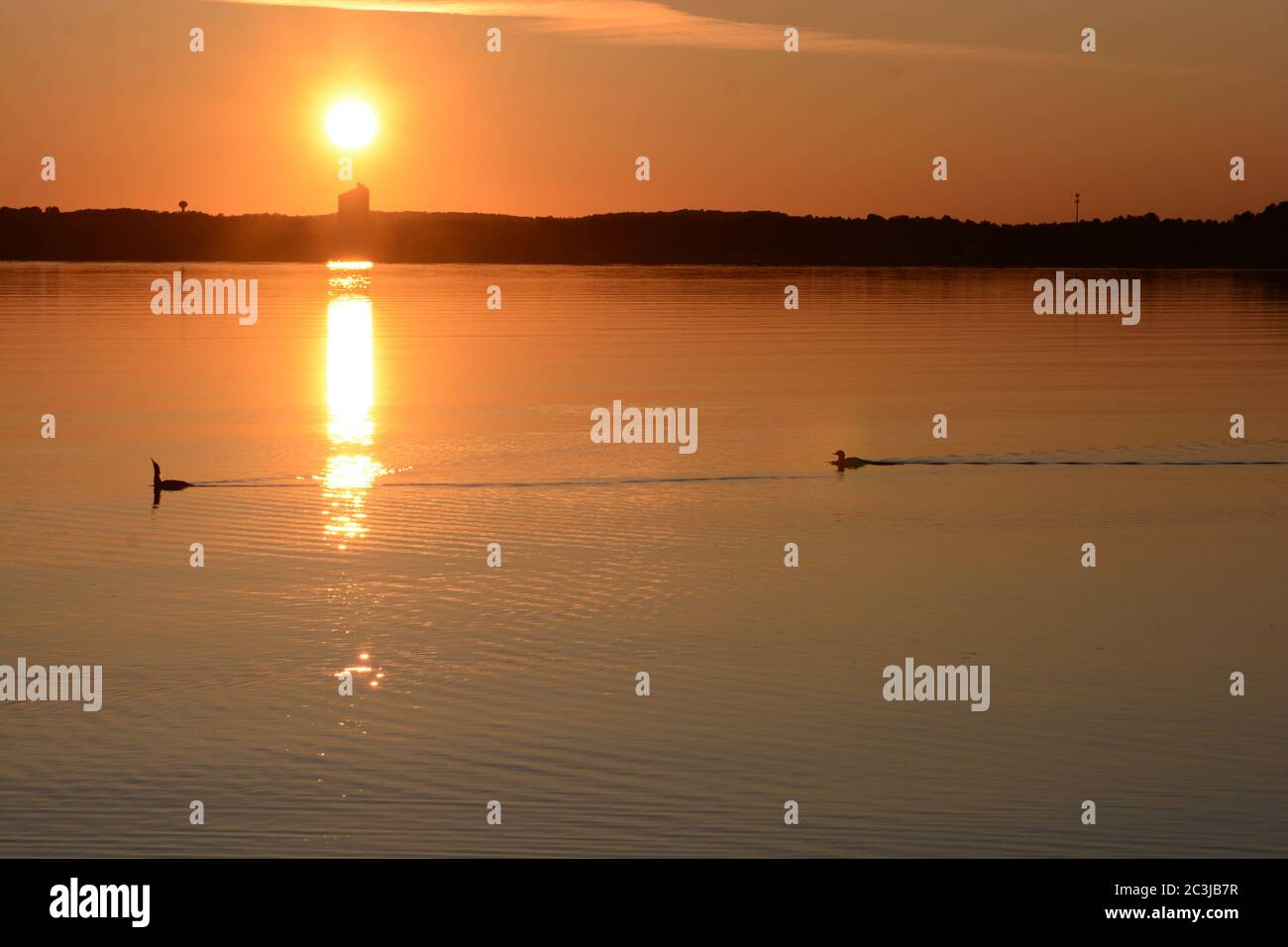 Sonnenaufgang in Traverse City, Michigan, USA. Grand Traverse Bay. Goldener Sonnenaufgang mit Enten, die im Wasser schwimmen. Stockfoto