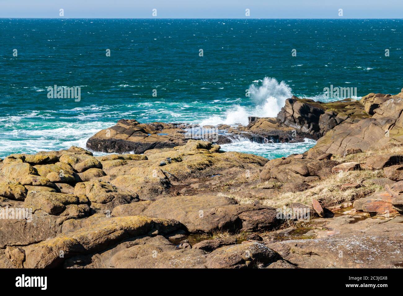 Küste von Oregon in der Nähe von Newport Stockfoto