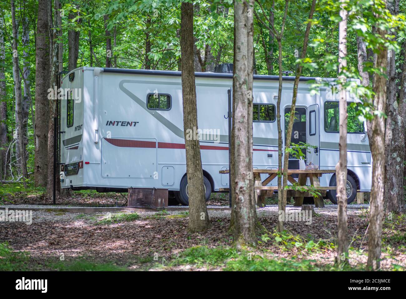 Freizeitfahrzeug auf einem Campingplatz in einem nationalen Wald geparkt Stockfoto