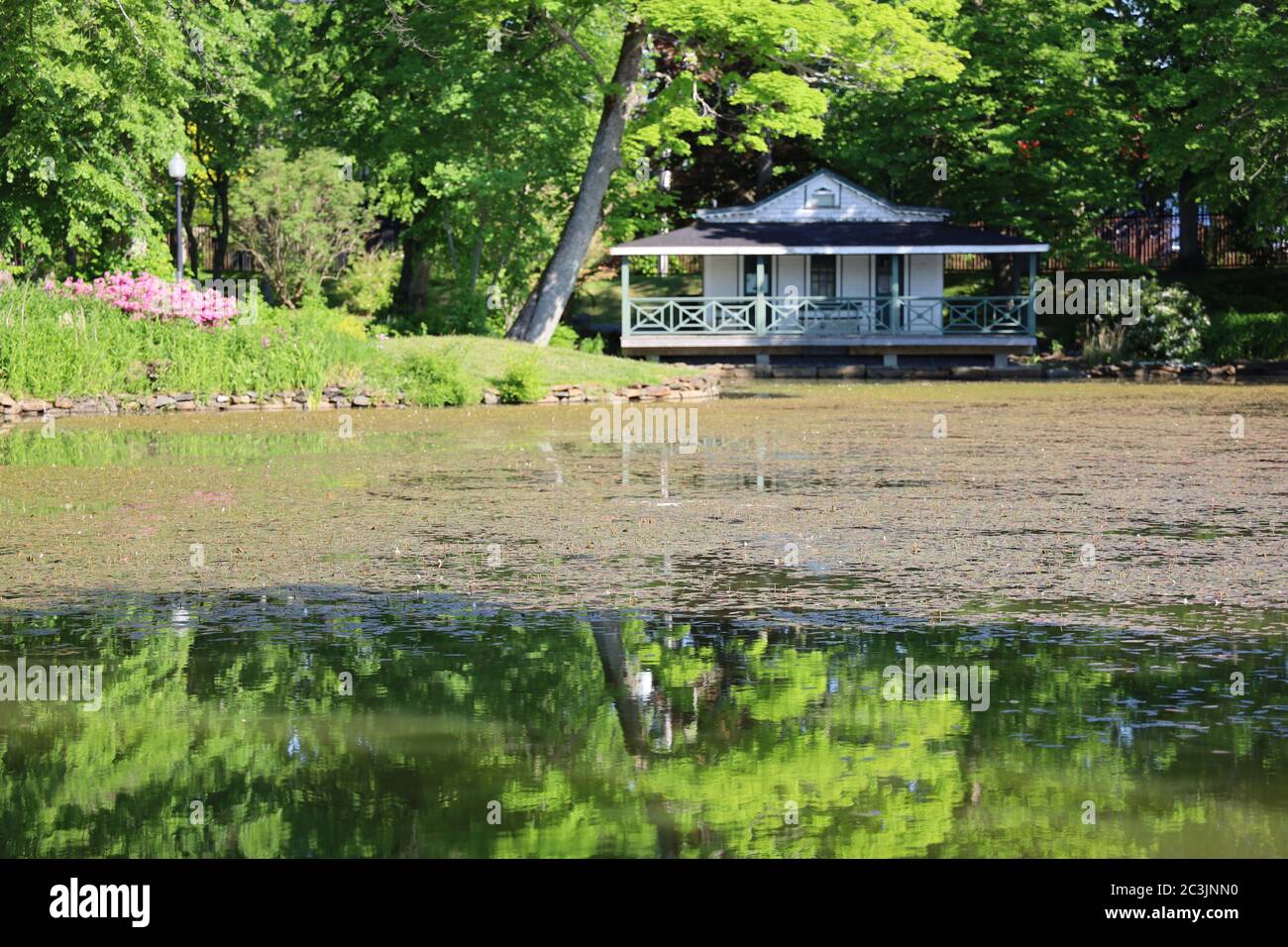 Halifax im Sommer während einer Pandemie. Leere Straßen, Gärten und Bänke. Stockfoto