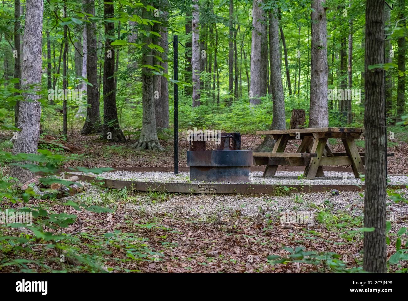 Campingplatz in einem nationalen Wald Stockfoto