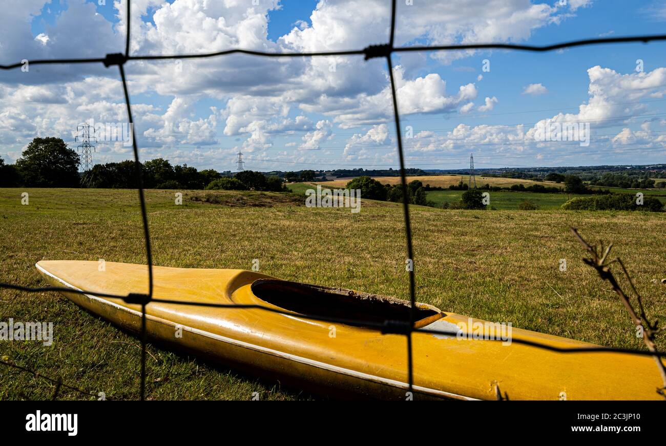 Wiese Stockfoto