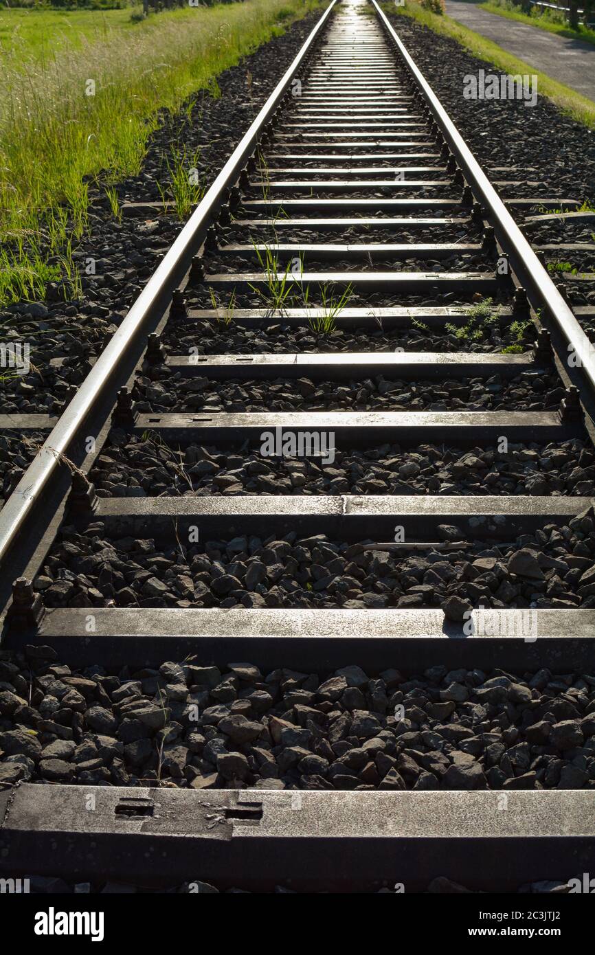 Bahngleise zwischen grünen Feldern im Abendlicht Stockfoto