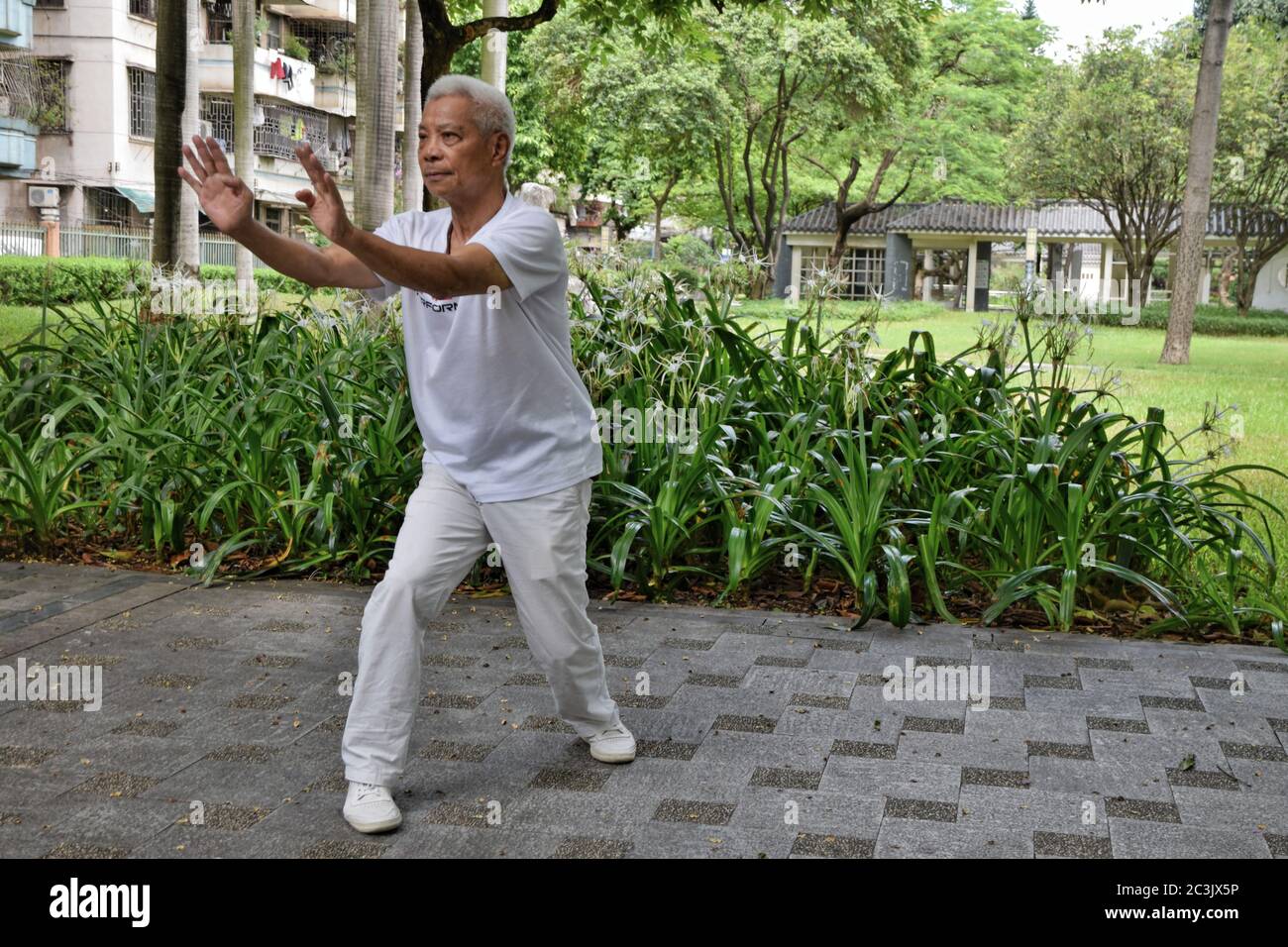 FOSHAN, CHINA - CIRCA JUNI 2020: Ein chinesischer Kung-Fu Großmeister zeigt einzelne Techniken des Drachen-Stils Kung-Fu. Stockfoto