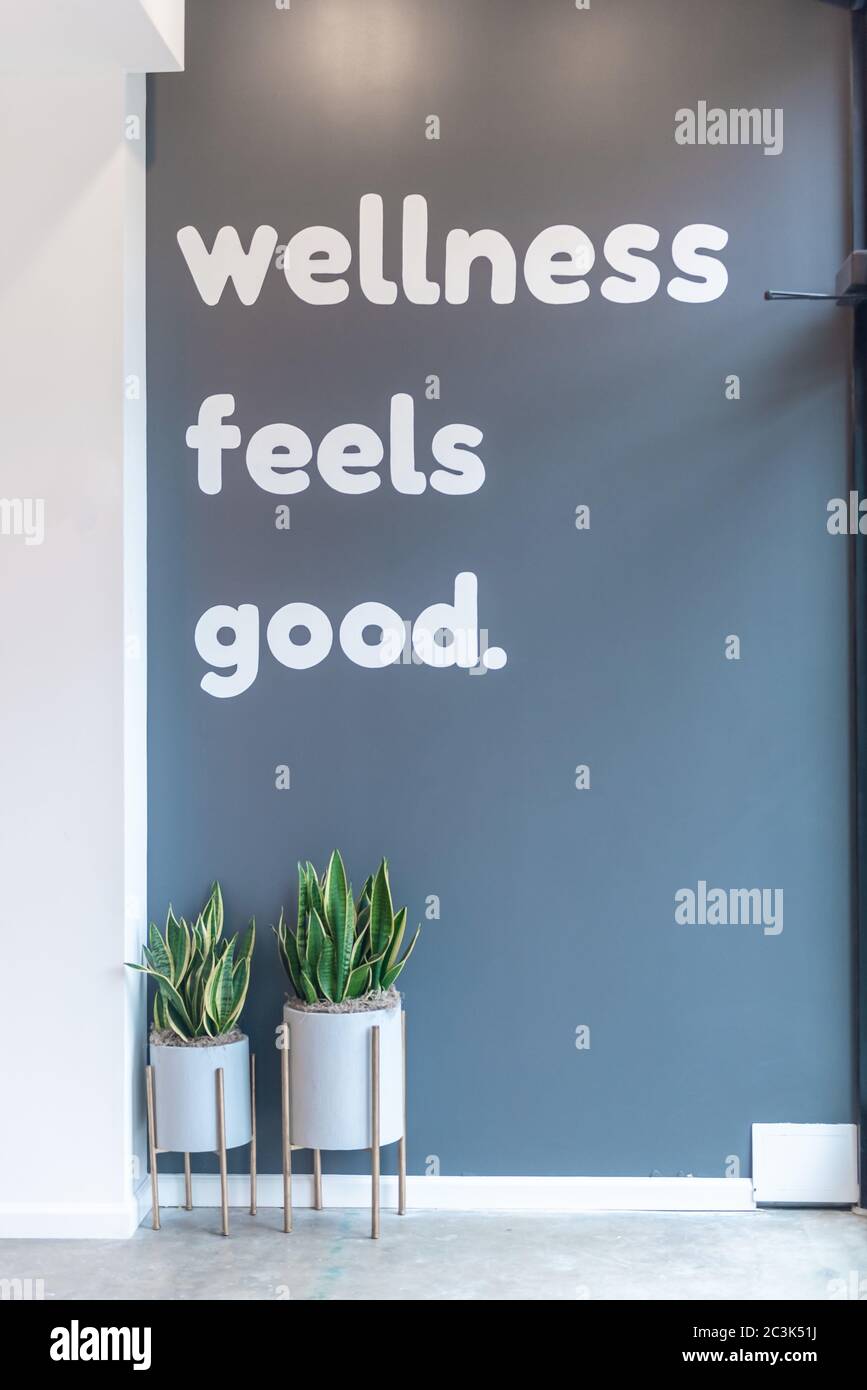 Ein [Wellness fühlt sich gut an.] Text auf einer blau-grauen Wand mit ästhetischen Pflanzen in der Nähe geschrieben Stockfoto
