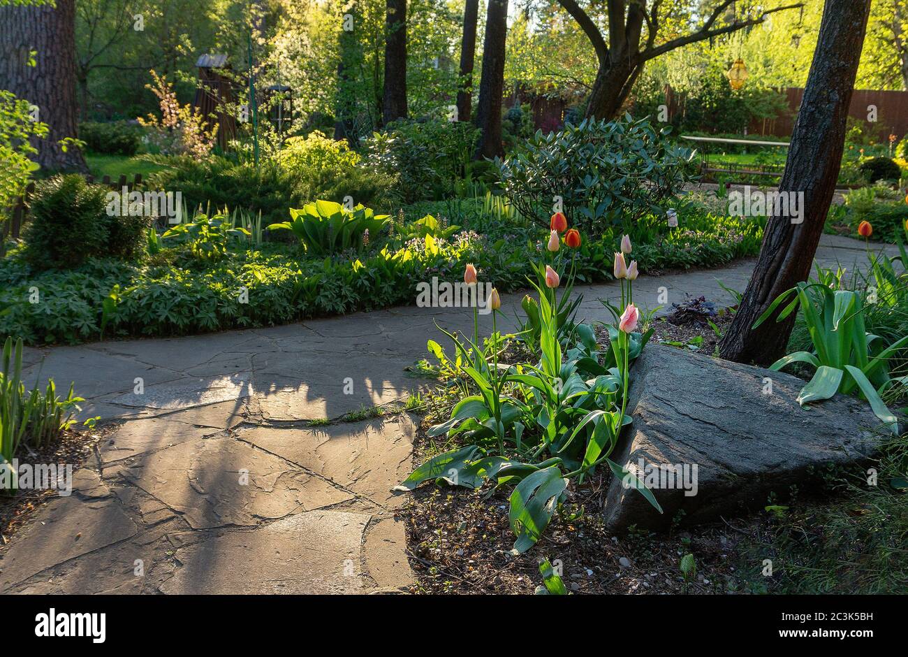 Garten in der Nähe Landhaus im fantastischen Mai in Moskau Oblast. Schönheit der Natur in Russland Stockfoto