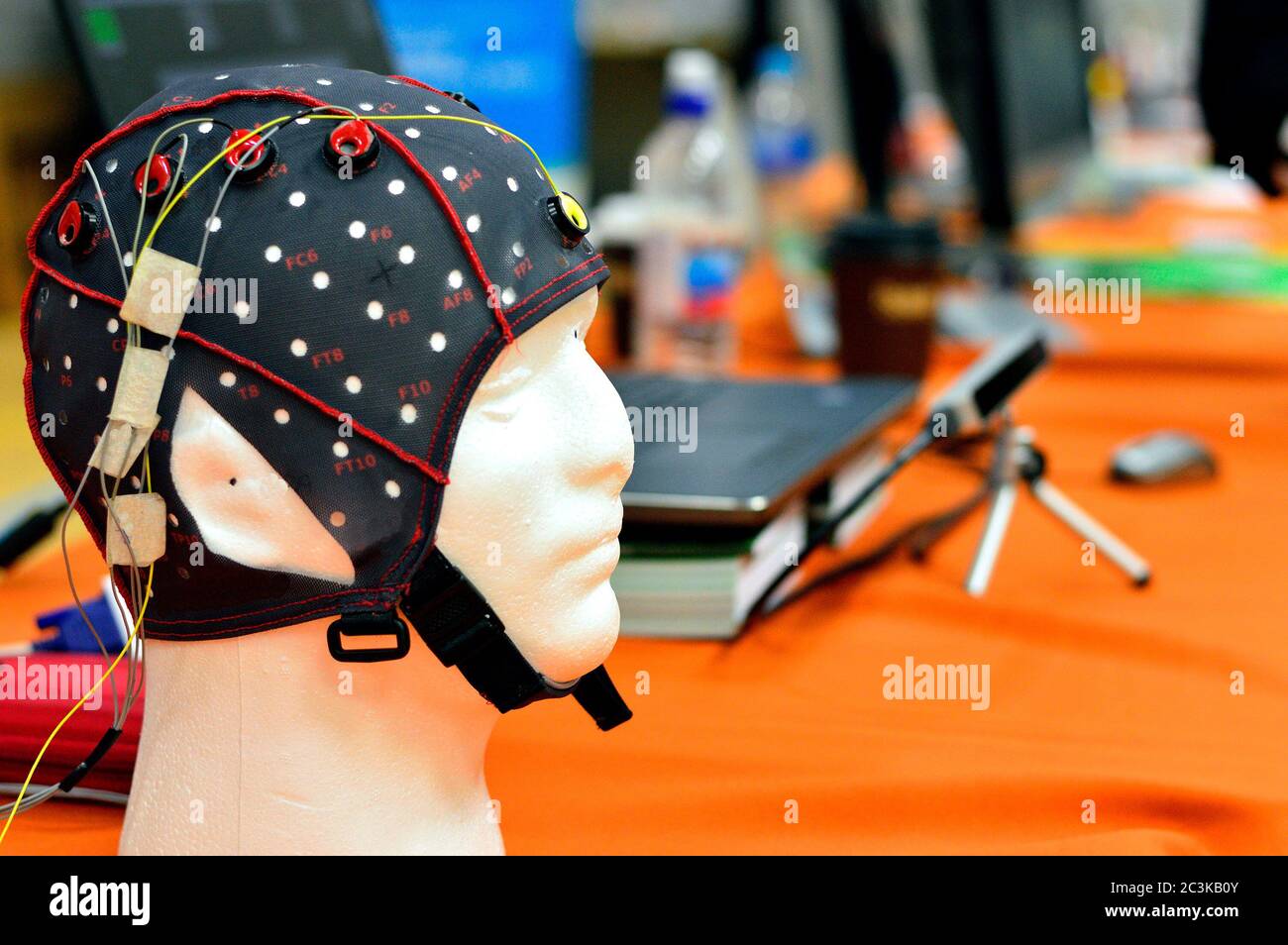 Kopfkappe mit EEG-Kopfplatte mit flachen Metallscheiben (Elektroden), die an einem Kopfmodell mit Laptop-Verwackelung im Hintergrund befestigt sind. Stockfoto
