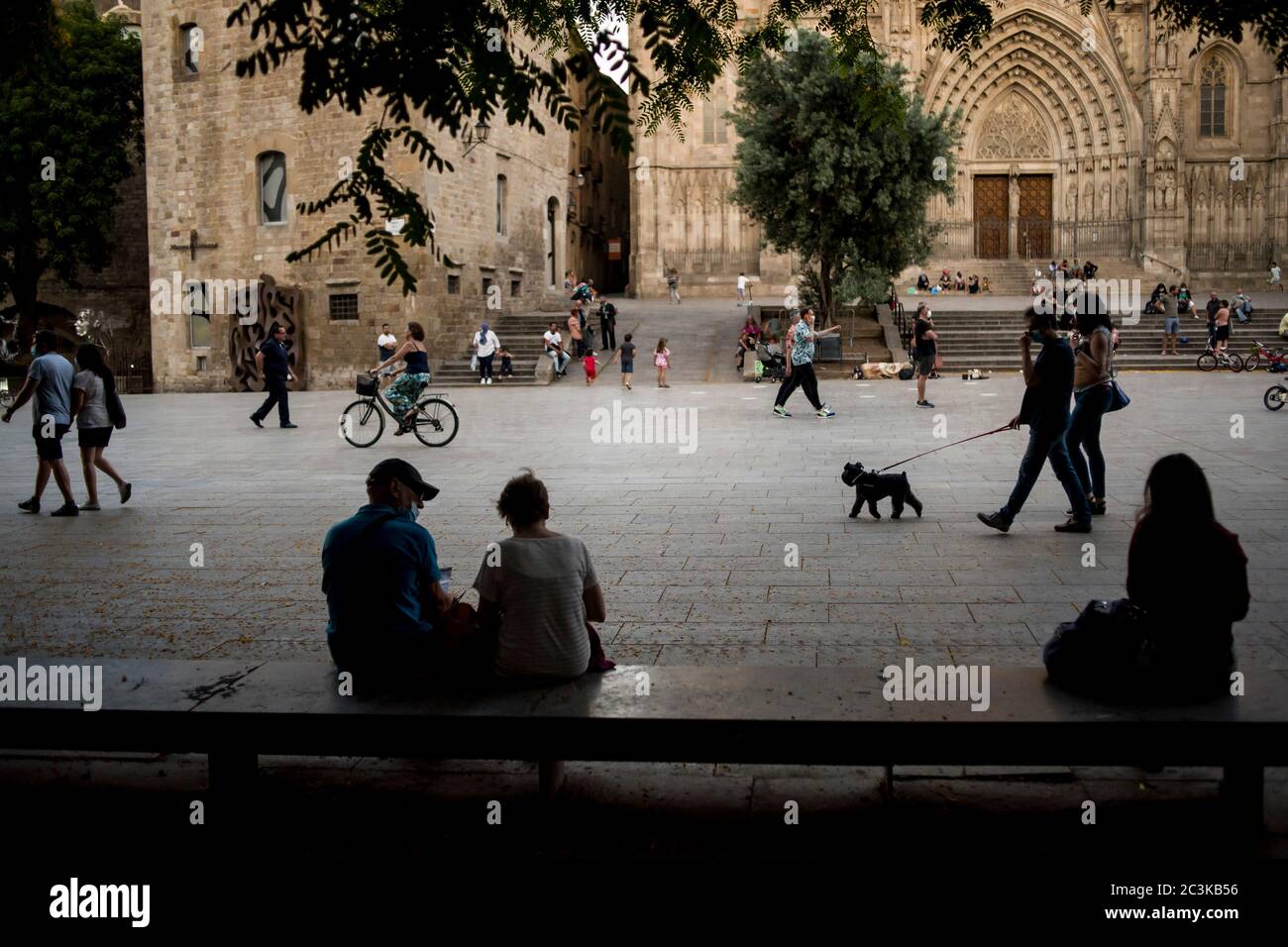 20. Juni 2020, Barcelona, Katalonien, Spanien: An diesem Samstagnachmittag gehen die Barcelonaner am Platz der Kathedrale im gotischen Viertel der Stadt vorbei. Am Sonntag, dem 21. Juni, wird Spanien in die "neue Normalität" eintreten und nach drei Monaten wird der Alarmzustand zu Ende gehen. Quelle:Jordi Boixareu/Alamy Live News Stockfoto