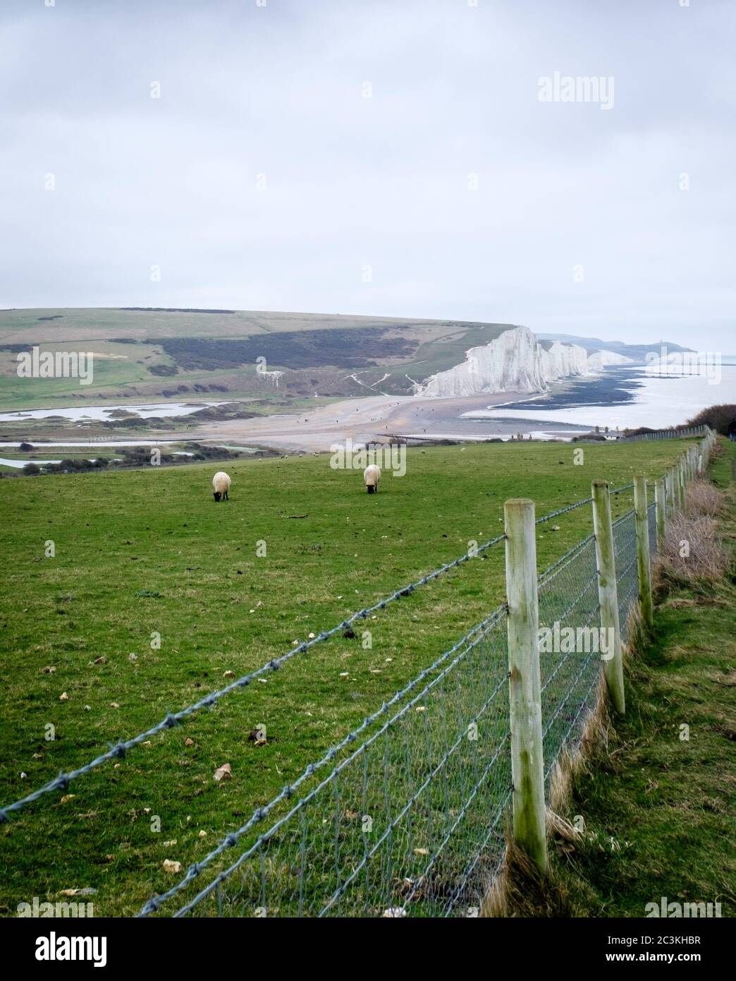 Vertikale Aufnahme von Stacheldraht und Kettengliedzaun auf Ein Feld mit Blick auf eine Klippe auf einem Meeresküste Stockfoto