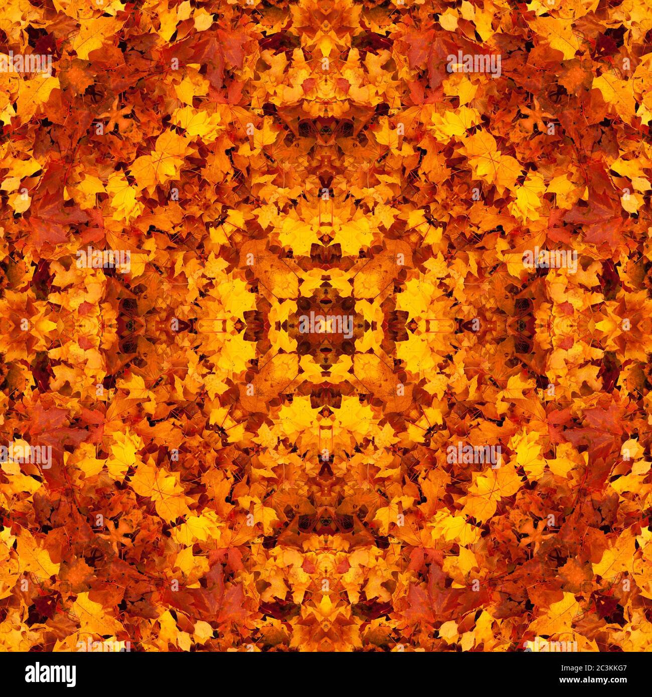 Nahtlose symmetrische Muster abstrakt Herbst Blätter Textur Stockfoto