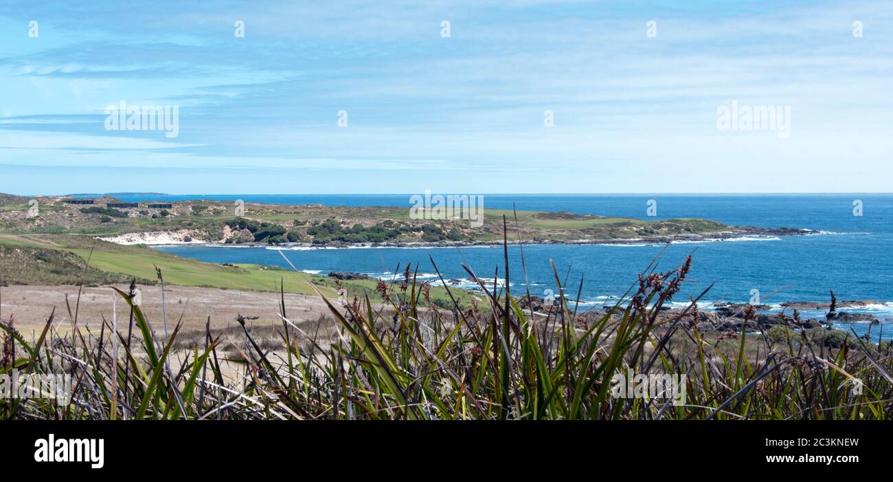 Blick auf die Küste über den Cape Wickham Golfplatz, King Island Stockfoto