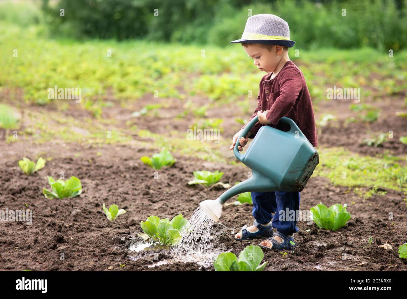 Kleiner Junge, der Pflanzen wässern kann Stockfoto