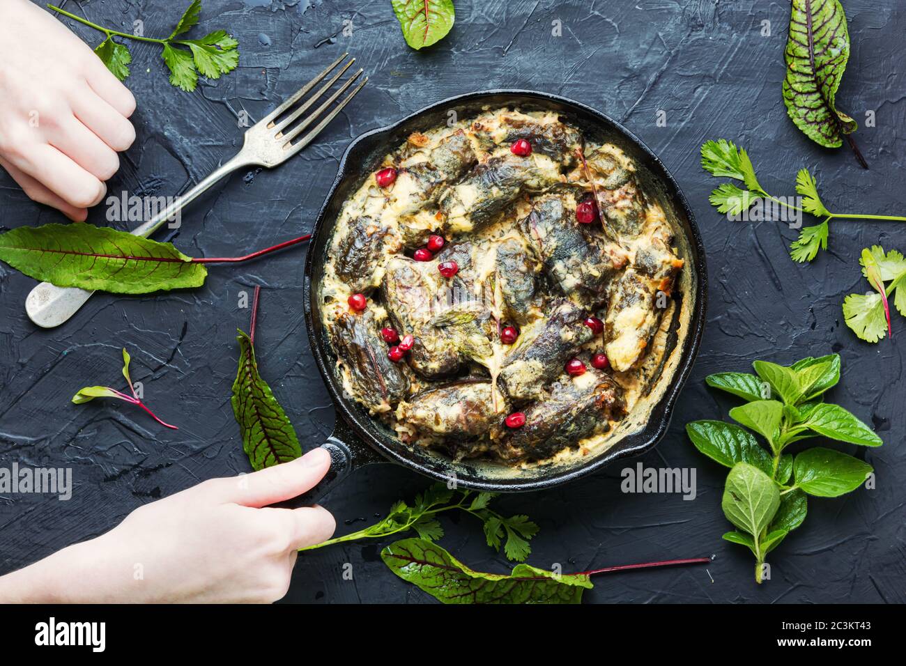 Bratpfanne mit gekochtem orientalischen Dolma in den Händen.appetitlich orientalischen Essen.Dolma in Traubenblättern. Stockfoto